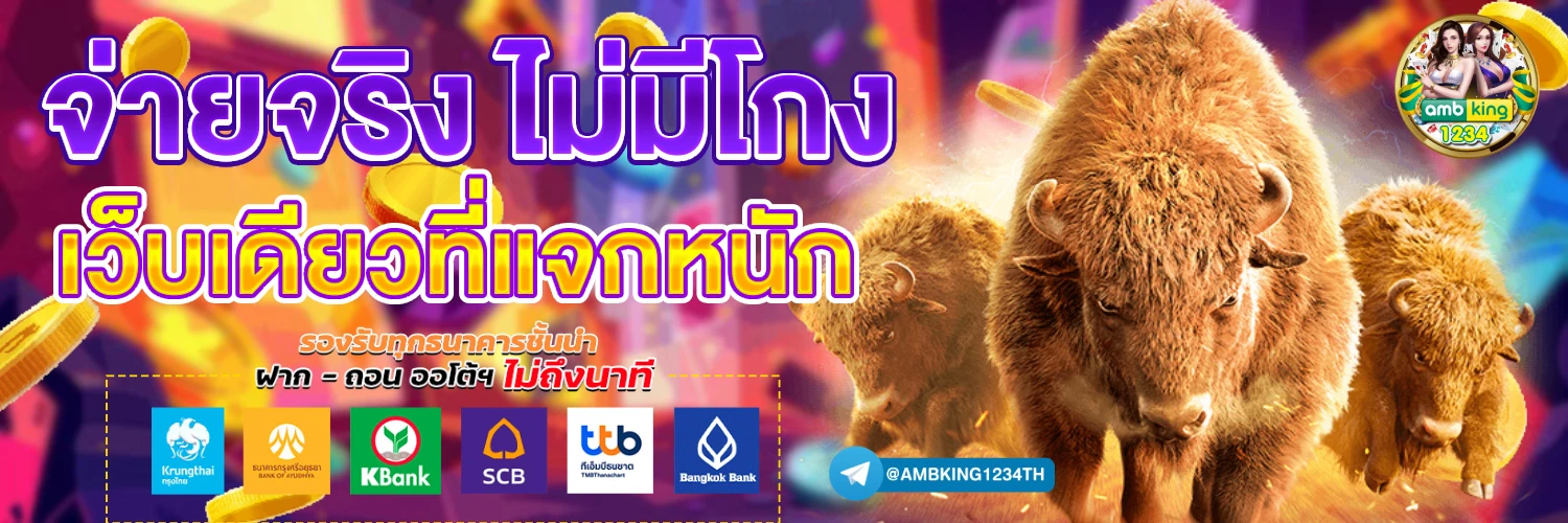 เว็บฝากด้วยทรูวอเลท - แบนเนอร์โปรโมชั่น